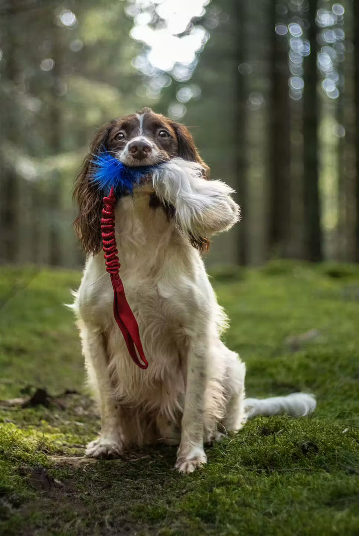 Tricolor Fur Bungee Tug
