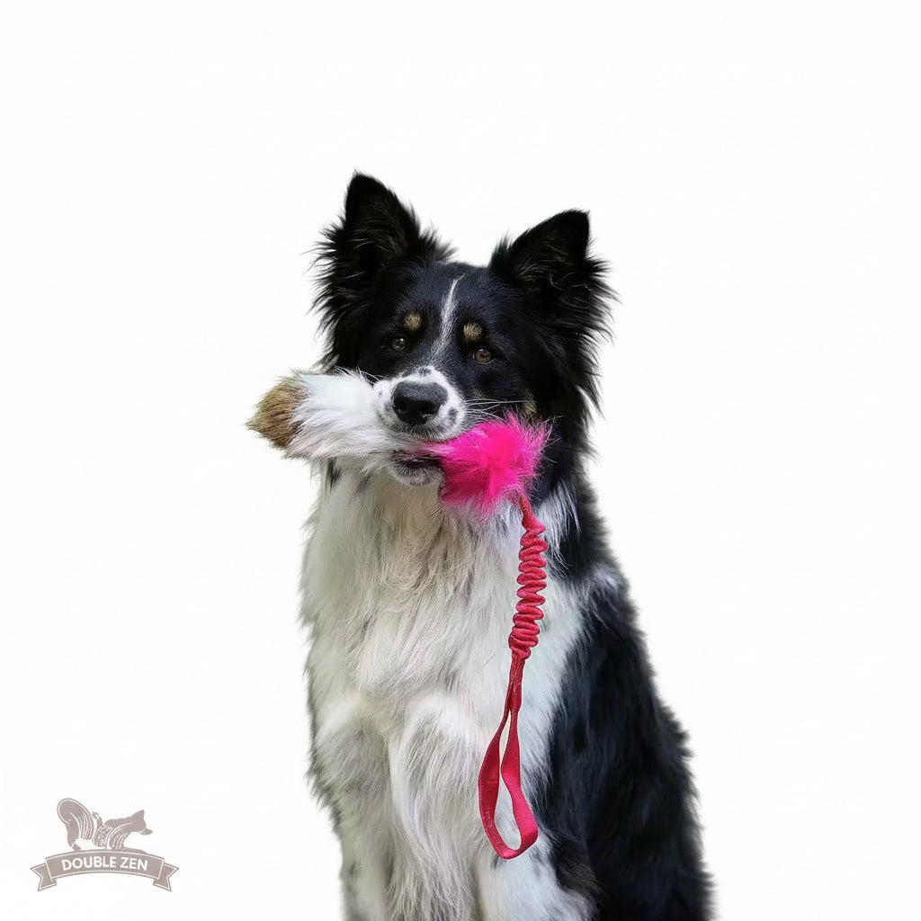 Tricolor Fur Bungee Tug