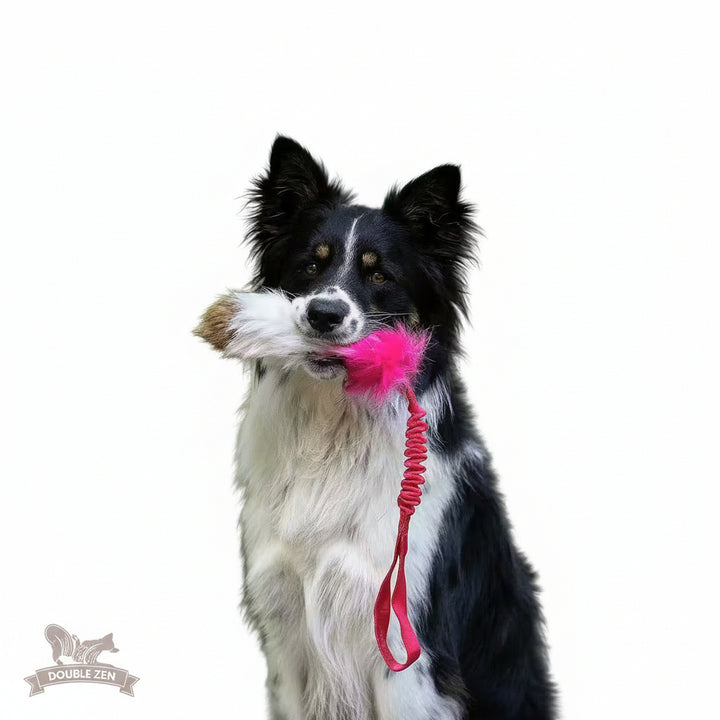 Tricolor Fur Bungee Tug