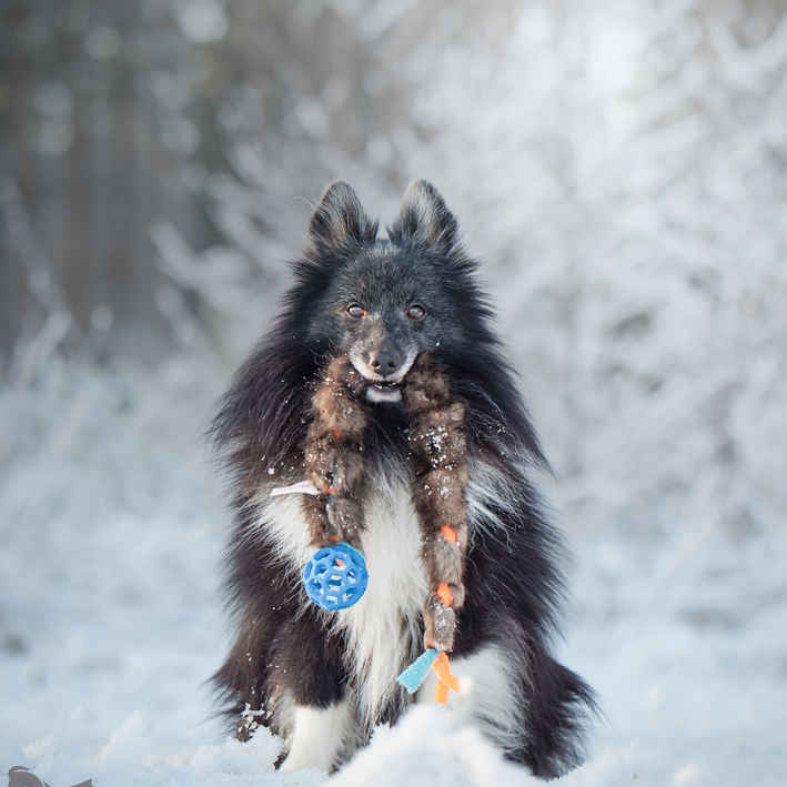Fleece 'n Beaver Braid with Mini Holee Roller