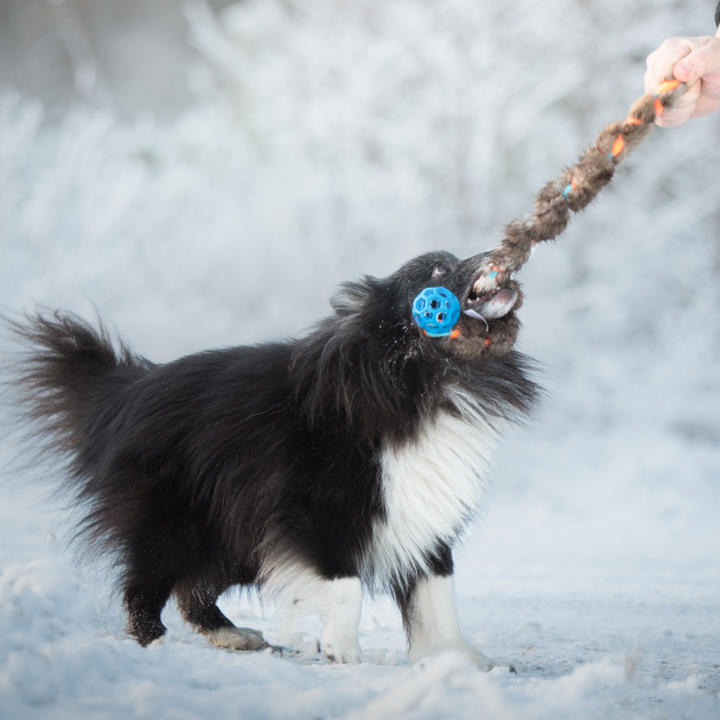Fleece 'n Beaver Braid with Mini Holee Roller