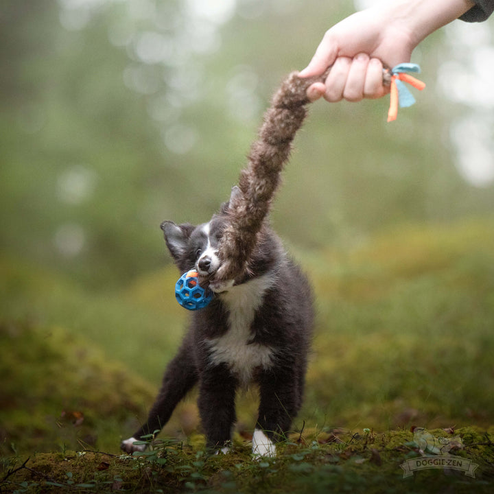 Fleece 'n Beaver Braid with Mini Holee Roller