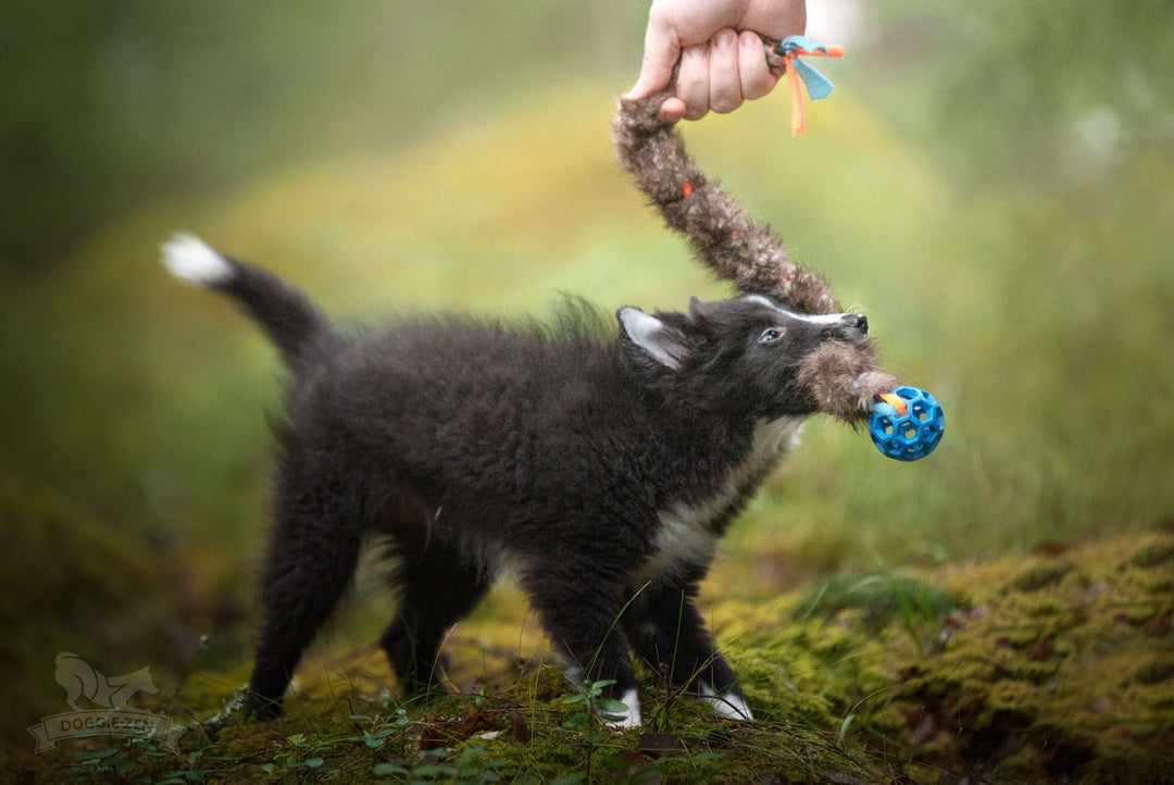 Fleece 'n Beaver Braid with Mini Holee Roller