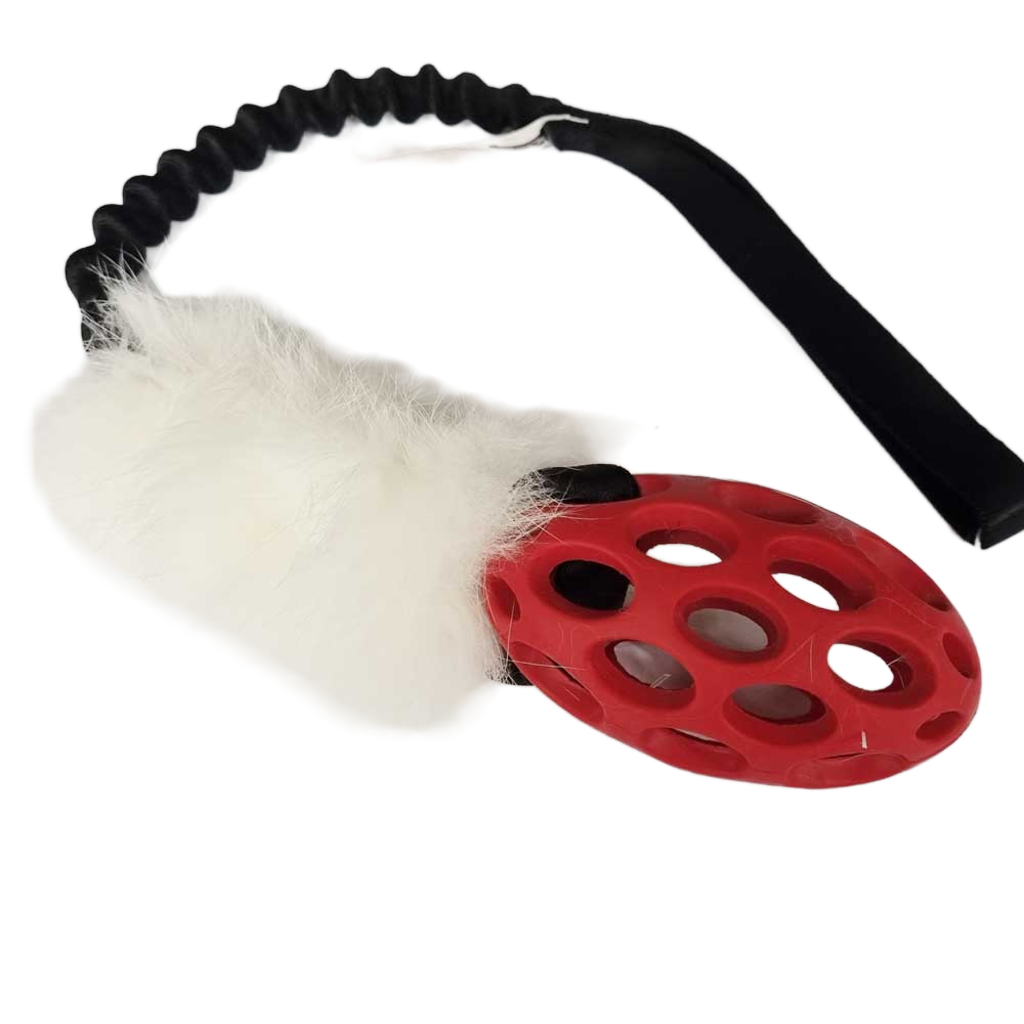 Mini Holee Football with Rabbit Bungee Tug