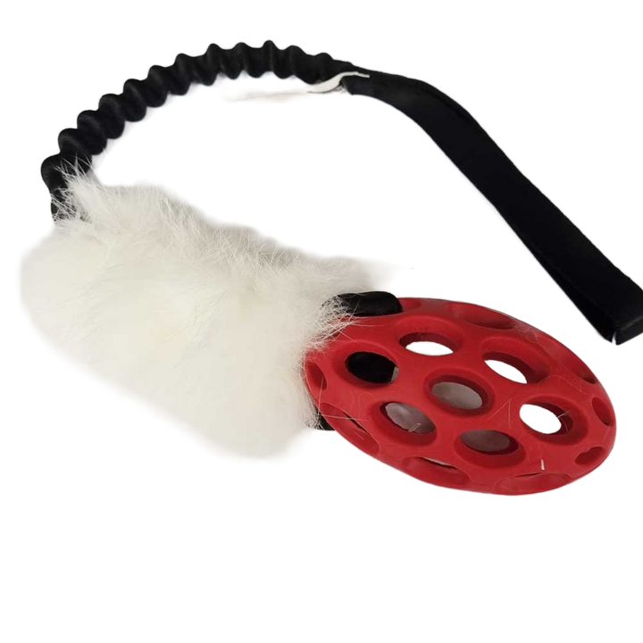 Mini Holee Football with Rabbit Bungee Tug