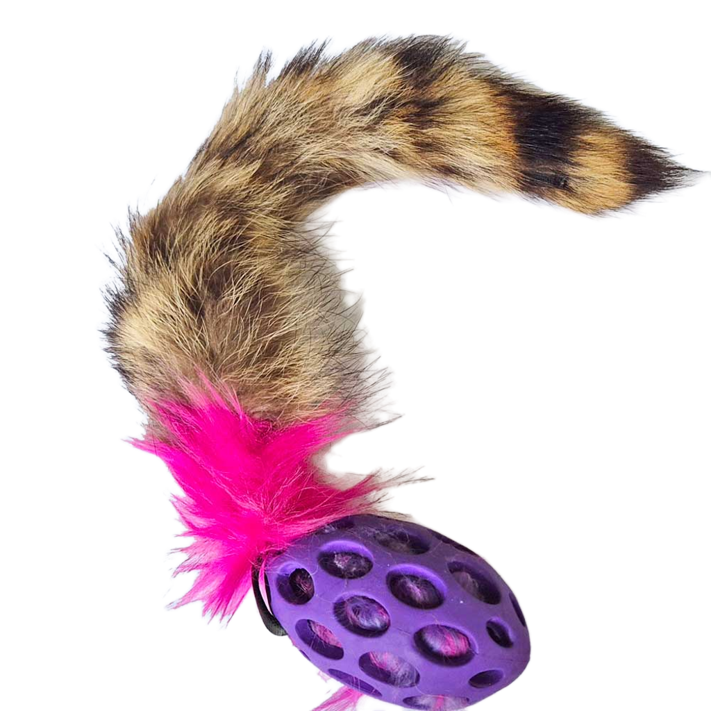 Raccoon Tail Squeaky Comet