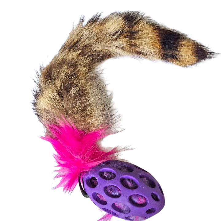 Raccoon Tail Squeaky Comet