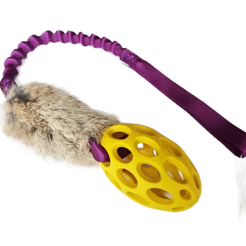 Mini Holee Football with Rabbit Bungee Tug