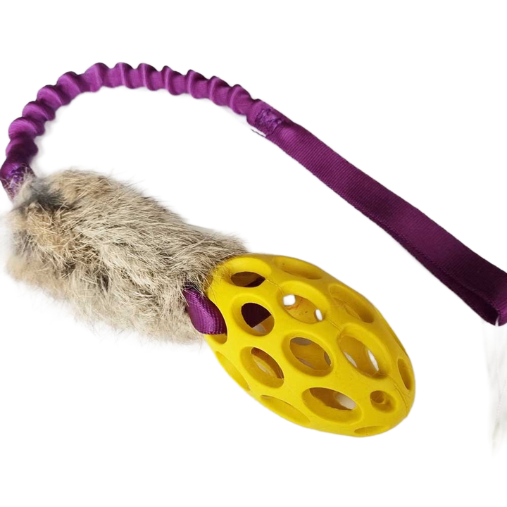 Mini Holee Football with Rabbit Bungee Tug