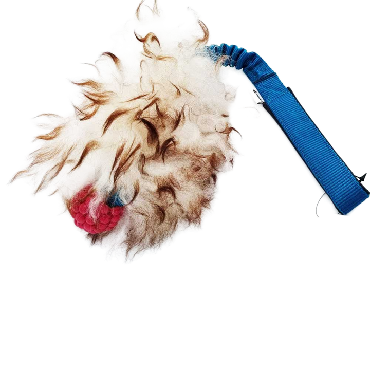 Planet Dog Raspberry Bungee with SHEEPSKIN Pocket Tug