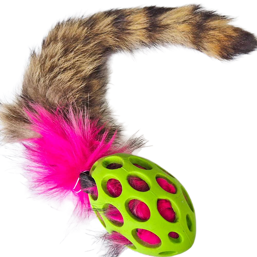 Raccoon Tail Squeaky Comet