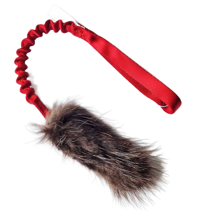 Bungee Beaver fur Tug