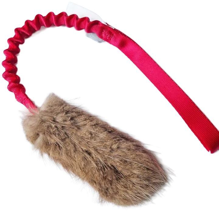 Bungee Beaver fur Tug