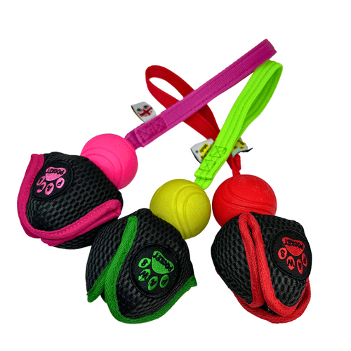 All Dog toys