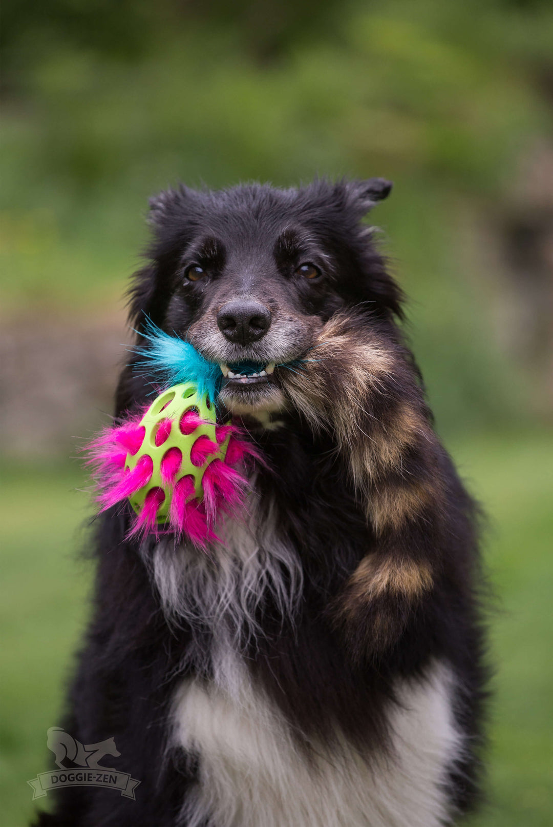 Squeaky Holee Comet Raccoon Tail