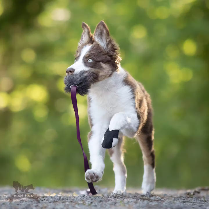 Sheepskin Bungee Chaser