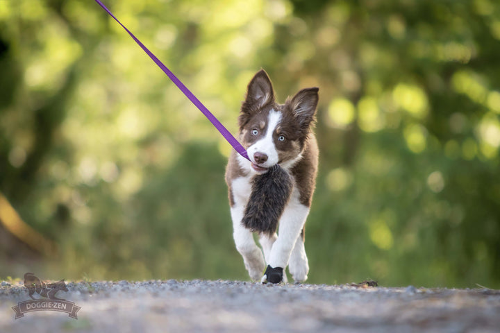 Sheepskin Bungee Chaser