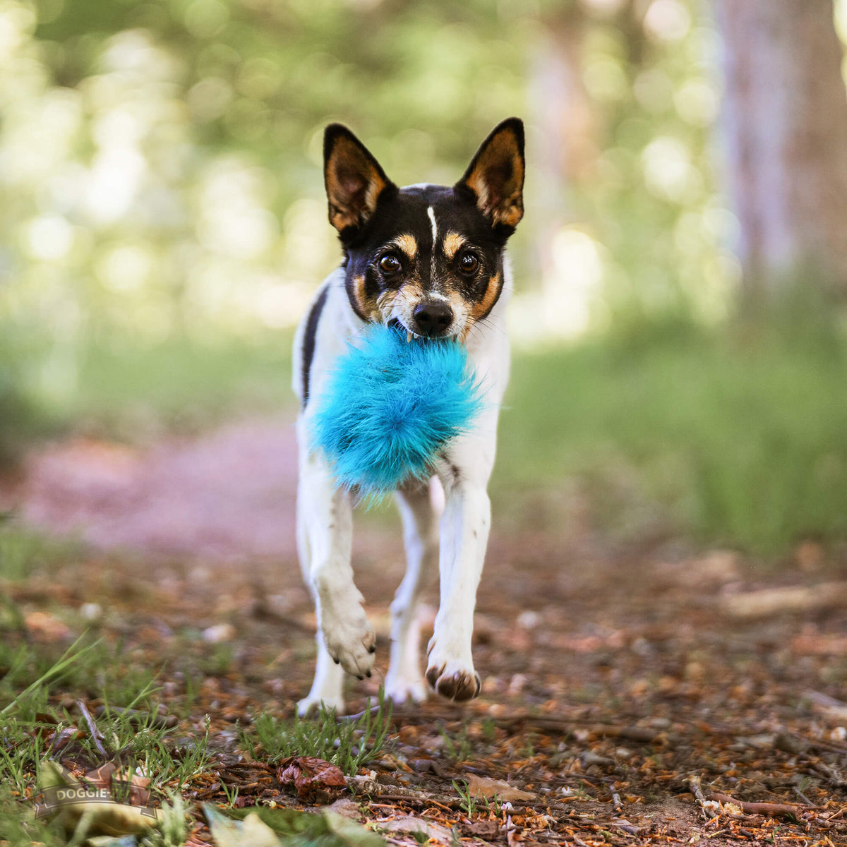 All Dog toys