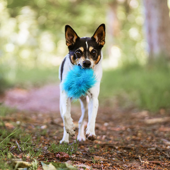 Squeaky Faux Fur Treat Pocket