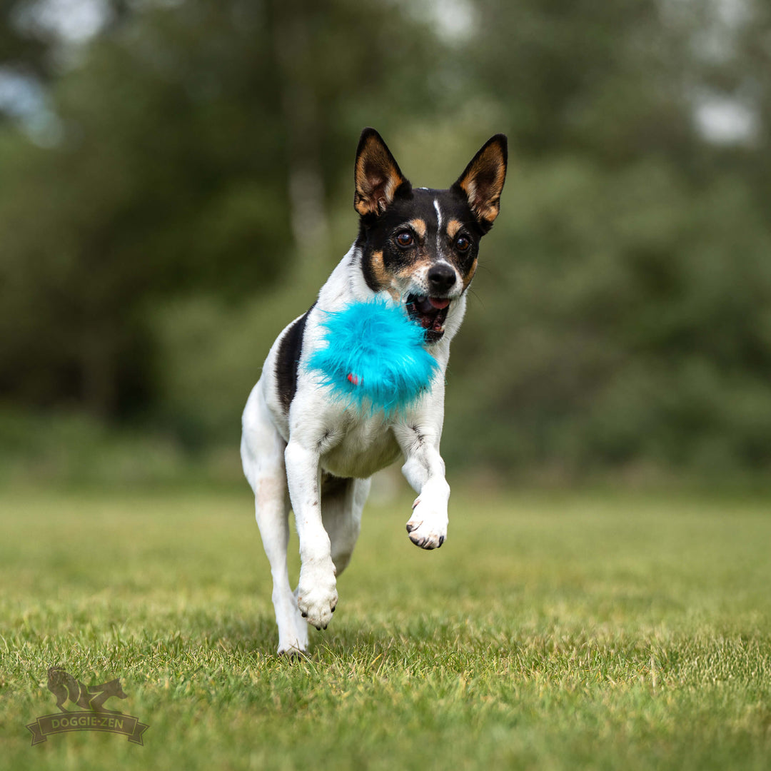 Squeaky Faux Fur Treat Pocket