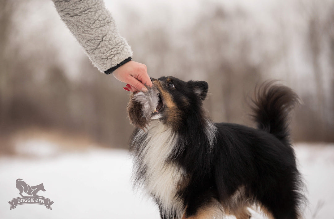 Sheepskin Treat Pocket