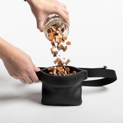 Viola Ultimate Treat Pouch Game on Dogs