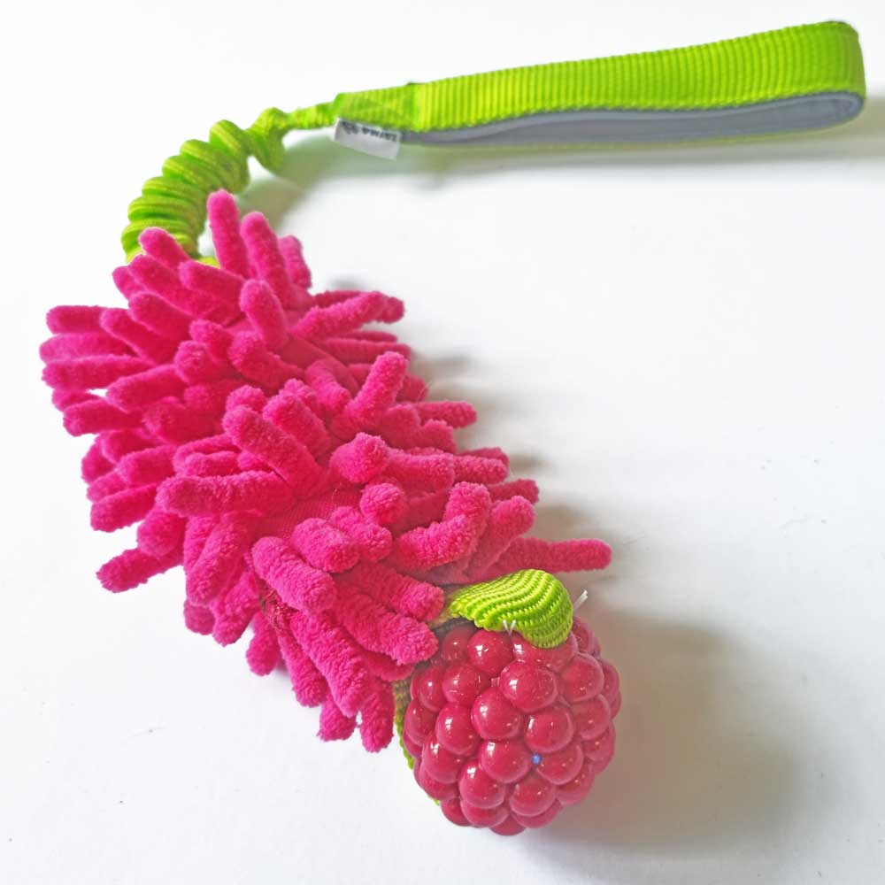 Planet Dog Rasberry Bungee with MOP Pocket Tug