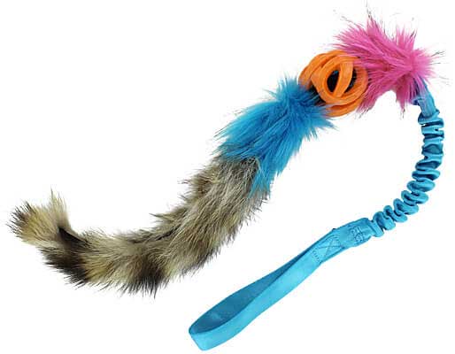 Chuckit Breathe Right ball with Raccoon Tail Bungee Tug