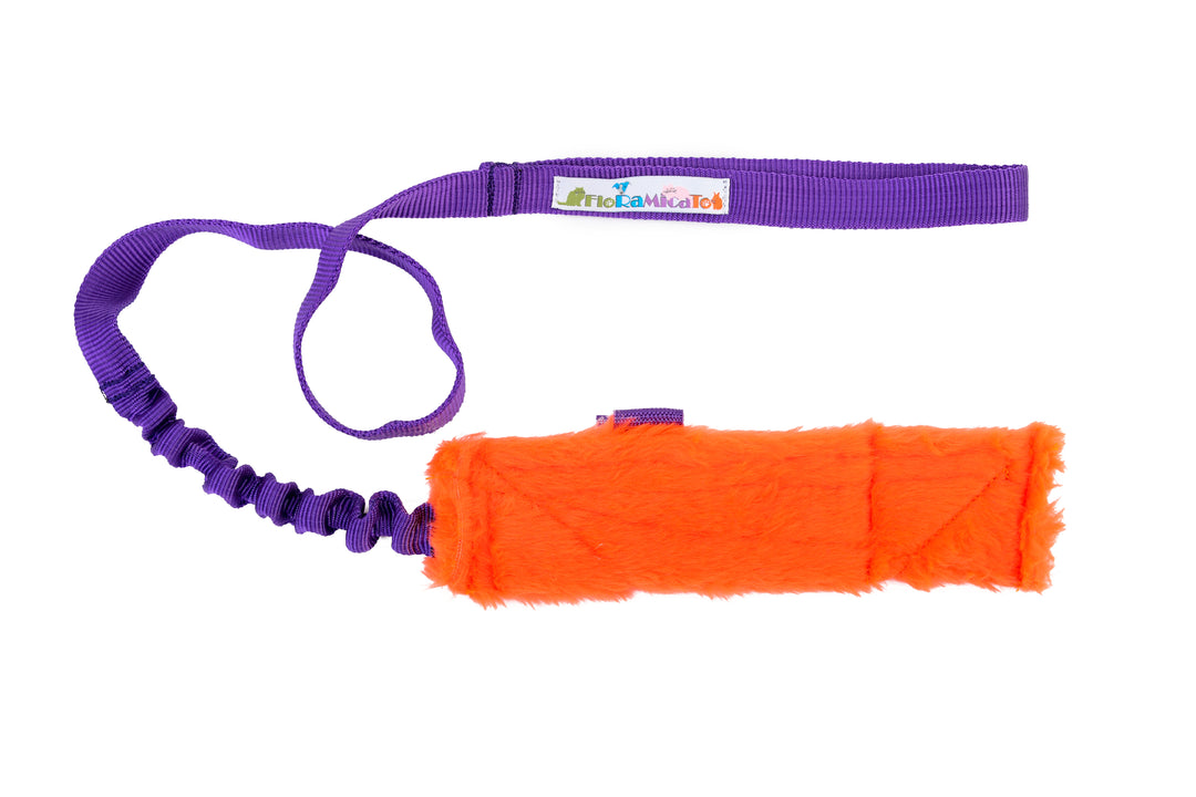 Fluffy Nyam Squeaky Treat Pouch Bungee Chaser