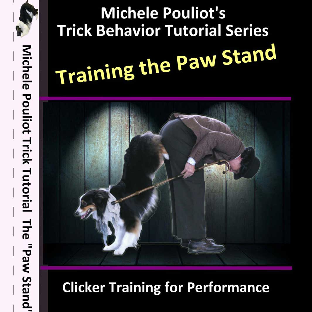 Training the Paw Stand by Michele Pouliot