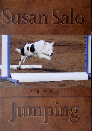 Puppy Jumping by Susan Salo