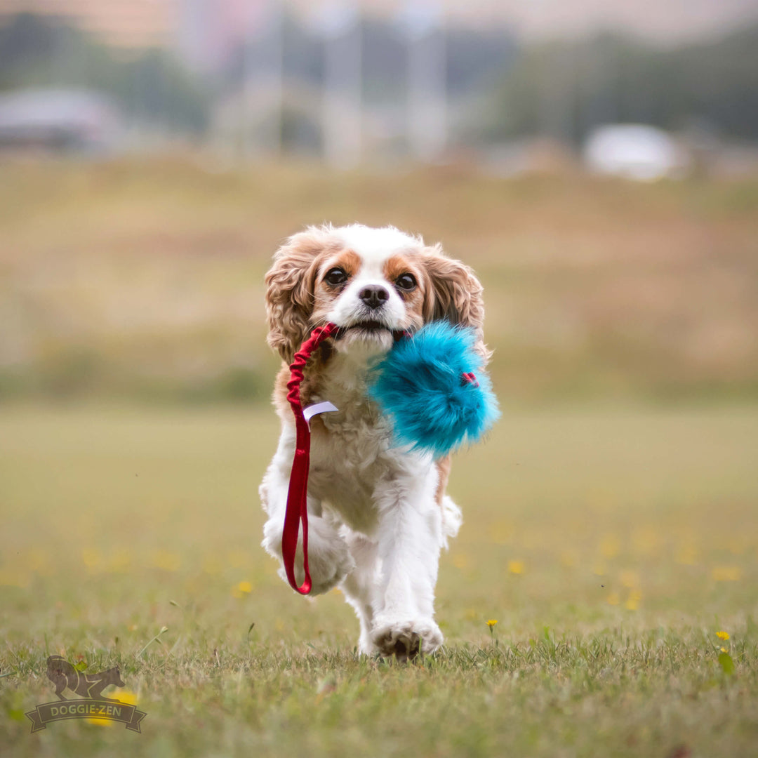 Faux Fur Bungee Treat Pouch