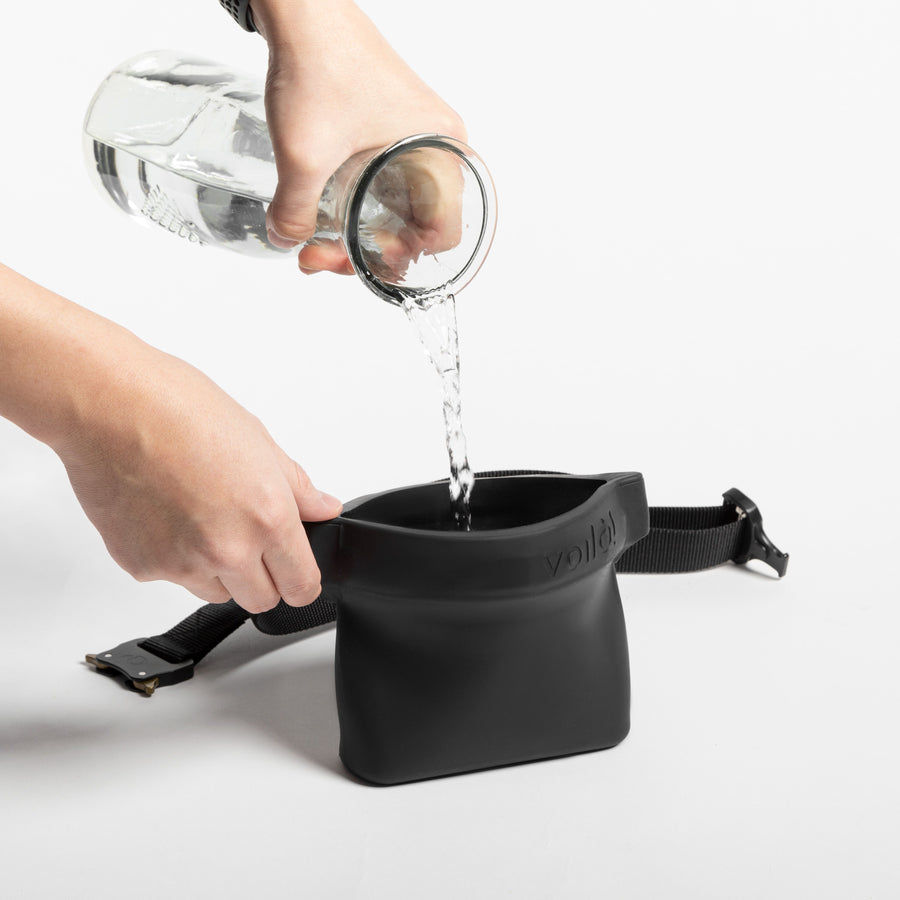 Viola Ultimate Treat Pouch Game on Dogs