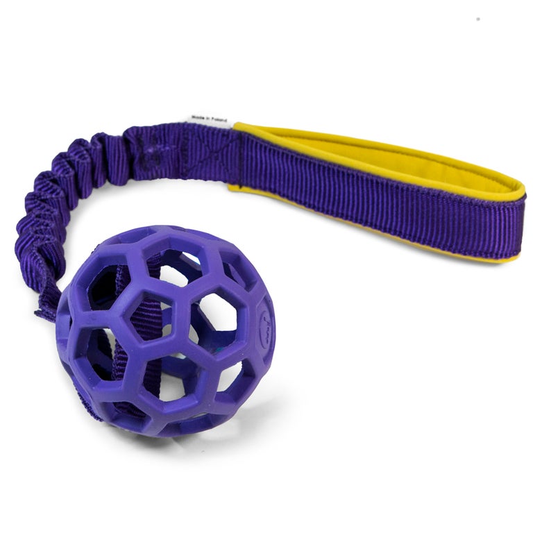 Hol-ee Roller with bungee handle